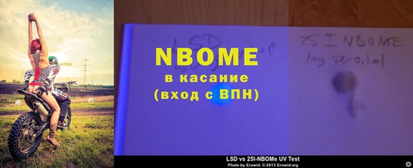индика Абинск