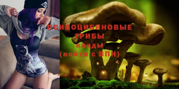 тгк Карталы