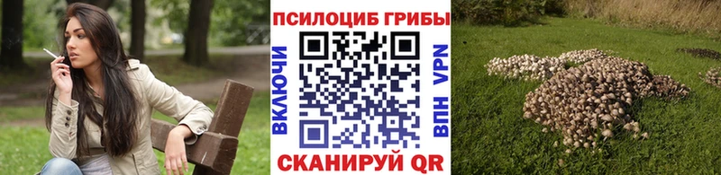 сколько стоит  Павловский Посад  Галлюциногенные грибы мухоморы 